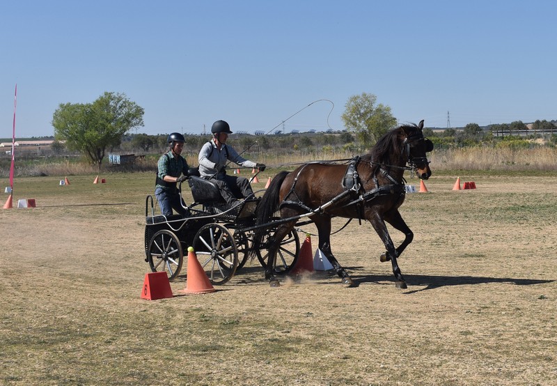 Emoción a las riendas